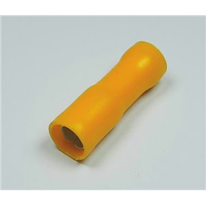 SPINOTTO FEMMINA ISOL 6 D5
