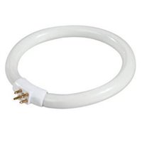 LAMPADE FLUORESCENTI