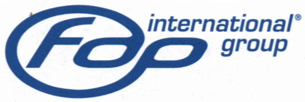 FDP INTERNATIONAL GROUP